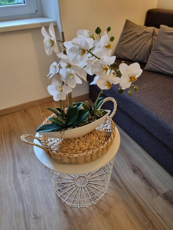 Apartment Seebachhof Edlbach Εξωτερικό φωτογραφία